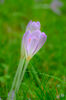 Dateiname=DSC_0200.jpg
Dateigröße=256KB
Abmessungen: 563x850
hinzugefügt am: 18. September 2019 DSC_0200.jpg