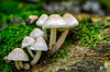 Dateiname=DSC_0248~0.jpg
Dateigröße=492KB
Abmessungen: 850x563
hinzugefügt am: 20. September 2019 DSC_0248~0.jpg