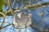 Dateiname=DSC_0254.JPG
Dateigröße=712KB
Abmessungen: 1200x795
hinzugefügt am: 14. Februar 2021 DSC_0254.JPG