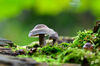 Dateiname=DSC_0266.jpg
Dateigröße=474KB
Abmessungen: 850x563
hinzugefügt am: 20. September 2019 DSC_0266.jpg