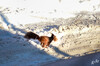 Dateiname=DSC_0268.JPG
Dateigröße=717KB
Abmessungen: 1200x795
hinzugefügt am: 14. Februar 2021 DSC_0268.JPG