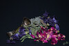 Dateiname=DSC_0272.JPG
Dateigröße=821KB
Abmessungen: 1200x795
hinzugefügt am: 07. Januar 2023 DSC_0272.JPG