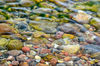 Dateiname=DSC_0272.jpg
Dateigröße=654KB
Abmessungen: 850x563
hinzugefügt am: 07. November 2018 DSC_0272.jpg