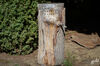 Dateiname=DSC_0283.jpg
Dateigröße=623KB
Abmessungen: 850x563
hinzugefügt am: 23. September 2019 DSC_0283.jpg