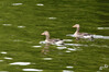 Dateiname=DSC_0286.JPG
Dateigröße=782KB
Abmessungen: 1200x800
hinzugefügt am: 21. Mai 2023 DSC_0286.JPG
