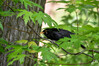 Dateiname=DSC_0404.JPG
Dateigröße=761KB
Abmessungen: 1200x800
hinzugefügt am: 27. Mai 2023 DSC_0404.JPG
