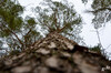 Dateiname=DSC_0461.JPG
Dateigröße=1088KB
Abmessungen: 1200x795
hinzugefügt am: 01. April 2023 DSC_0461.JPG