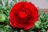 Dateiname=DSC_0476.JPG
Dateigröße=1109KB
Abmessungen: 1200x795
hinzugefügt am: 08. April 2023 DSC_0476.JPG