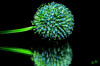 Dateiname=DSC_0881.JPG
Dateigröße=773KB
Abmessungen: 1200x795
hinzugefügt am: 28. Juli 2020 DSC_0881.JPG