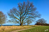Dateiname=DSC_0891.jpg
Dateigröße=802KB
Abmessungen: 1024x678
hinzugefügt am: 19. Februar 2020 DSC_0891.jpg