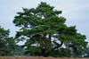 Dateiname=DSC_1021_k.JPG
Dateigröße=1050KB
Abmessungen: 1200x795
hinzugefügt am: 12. September 2020 DSC_1021_k.JPG
