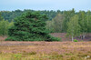 Dateiname=DSC_1034.JPG
Dateigröße=1107KB
Abmessungen: 1200x795
hinzugefügt am: 12. September 2020 DSC_1034.JPG