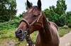 Dateiname=DSC_1101.JPG
Dateigröße=781KB
Abmessungen: 1200x795
hinzugefügt am: 15. September 2020 DSC_1101.JPG