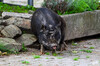 Dateiname=DSC_1199.JPG
Dateigröße=1023KB
Abmessungen: 1200x795
hinzugefügt am: 16. September 2020 DSC_1199.JPG