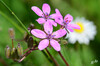 Dateiname=DSC_1236.JPG
Dateigröße=536KB
Abmessungen: 1200x795
hinzugefügt am: 13. Mai 2020 DSC_1236.JPG