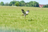 DSC_1802.JPG