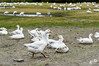 Dateiname=DSC_2184.JPG
Dateigröße=741KB
Abmessungen: 1200x800
hinzugefügt am: 09. Juli 2021 DSC_2184.JPG