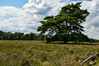 Dateiname=DSC_2421.JPG
Dateigröße=895KB
Abmessungen: 1200x800
hinzugefügt am: 28. Juli 2021 DSC_2421.JPG
