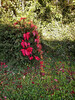 Dateiname=DSC_2452.JPG
Dateigröße=1738KB
Abmessungen: 901x1200
hinzugefügt am: 08. Oktober 2021 DSC_2452.JPG