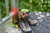 Dateiname=DSC_3035.JPG
Dateigröße=1245KB
Abmessungen: 1299x866
hinzugefügt am: 16. September 2021 DSC_3035.JPG