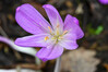 Dateiname=DSC_3208.JPG
Dateigröße=635KB
Abmessungen: 1200x800
hinzugefügt am: 20. Oktober 2021 DSC_3208.JPG