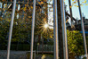 Dateiname=DSC_3470.JPG
Dateigröße=1148KB
Abmessungen: 1200x800
hinzugefügt am: 10. November 2021 DSC_3470.JPG