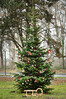 Dateiname=DSC_3871.JPG
Dateigröße=1384KB
Abmessungen: 800x1200
hinzugefügt am: 20. Dezember 2021 DSC_3871.JPG