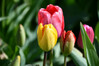 Dateiname=DSC_4849.JPG
Dateigröße=527KB
Abmessungen: 1200x800
hinzugefügt am: 18. April 2022 DSC_4849.JPG