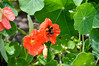 Dateiname=DSC_6304.JPG
Dateigröße=828KB
Abmessungen: 1200x800
hinzugefügt am: 09. Juli 2022 DSC_6304.JPG