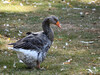 Dateiname=DSC_7678.JPG
Dateigröße=1123KB
Abmessungen: 1200x900
hinzugefügt am: 19. September 2022 DSC_7678.JPG