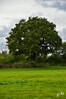 Dateiname=DSC_7894.JPG
Dateigröße=1196KB
Abmessungen: 800x1200
hinzugefügt am: 13. Oktober 2022 DSC_7894.JPG