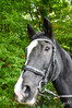 Dateiname=DSC_7896_01.JPG
Dateigröße=623KB
Abmessungen: 800x1200
hinzugefügt am: 06. Oktober 2022 DSC_7896_01.JPG