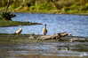 Dateiname=DSC_8086.JPG
Dateigröße=806KB
Abmessungen: 1200x800
hinzugefügt am: 26. November 2022 DSC_8086.JPG
