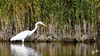 Dateiname=DSC_8151.JPG
Dateigröße=1240KB
Abmessungen: 1200x675
hinzugefügt am: 24. Oktober 2022 DSC_8151.JPG