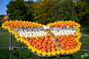 Dateiname=DSC_8160.JPG
Dateigröße=1312KB
Abmessungen: 1200x800
hinzugefügt am: 29. Oktober 2022 DSC_8160.JPG