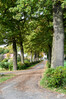 Dateiname=DSC_8188.JPG
Dateigröße=1686KB
Abmessungen: 800x1200
hinzugefügt am: 06. November 2022 DSC_8188.JPG