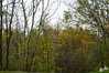 Dateiname=DSC_8233.JPG
Dateigröße=1696KB
Abmessungen: 1200x800
hinzugefügt am: 11. November 2022 DSC_8233.JPG