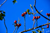 Dateiname=DSC_8342.JPG
Dateigröße=604KB
Abmessungen: 1200x800
hinzugefügt am: 18. November 2022 DSC_8342.JPG