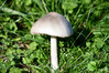 Dateiname=DSC_8355.JPG
Dateigröße=804KB
Abmessungen: 1200x800
hinzugefügt am: 18. November 2022 DSC_8355.JPG
