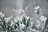 Dateiname=DSC_8679.JPG
Dateigröße=672KB
Abmessungen: 1200x800
hinzugefügt am: 19. Dezember 2022 DSC_8679.JPG