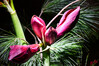 Dateiname=DSC_8713.JPG
Dateigröße=973KB
Abmessungen: 1200x800
hinzugefügt am: 28. Dezember 2022 DSC_8713.JPG