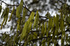 Dateiname=DSC_8879.JPG
Dateigröße=894KB
Abmessungen: 1200x800
hinzugefügt am: 09. Januar 2023 DSC_8879.JPG