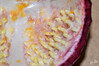 Dateiname=DSC_8993.JPG
Dateigröße=691KB
Abmessungen: 1200x800
hinzugefügt am: 14. Februar 2023 DSC_8993.JPG