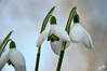 Dateiname=DSC_9013.JPG
Dateigröße=536KB
Abmessungen: 1200x800
hinzugefügt am: 15. Februar 2023 DSC_9013.JPG