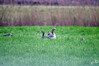 Dateiname=DSC_9132.JPG
Dateigröße=910KB
Abmessungen: 1200x800
hinzugefügt am: 02. März 2023 DSC_9132.JPG