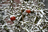 Dateiname=DSC_9441.JPG
Dateigröße=838KB
Abmessungen: 1200x800
hinzugefügt am: 11. März 2023 DSC_9441.JPG