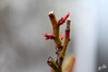 Dateiname=DSC_9466_-__01.JPG
Dateigröße=316KB
Abmessungen: 1200x800
hinzugefügt am: 12. März 2023 DSC_9466_-__01.JPG
