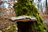 Dateiname=DSC_9640.JPG
Dateigröße=1142KB
Abmessungen: 1200x800
hinzugefügt am: 21. März 2023 DSC_9640.JPG