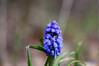 Dateiname=DSC_9659.JPG
Dateigröße=496KB
Abmessungen: 1200x800
hinzugefügt am: 27. März 2023 DSC_9659.JPG