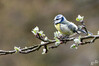 Dateiname=DSC_9719.JPG
Dateigröße=679KB
Abmessungen: 1200x799
hinzugefügt am: 13. April 2023 DSC_9719.JPG